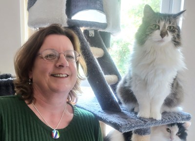 cat sitting Liverpool